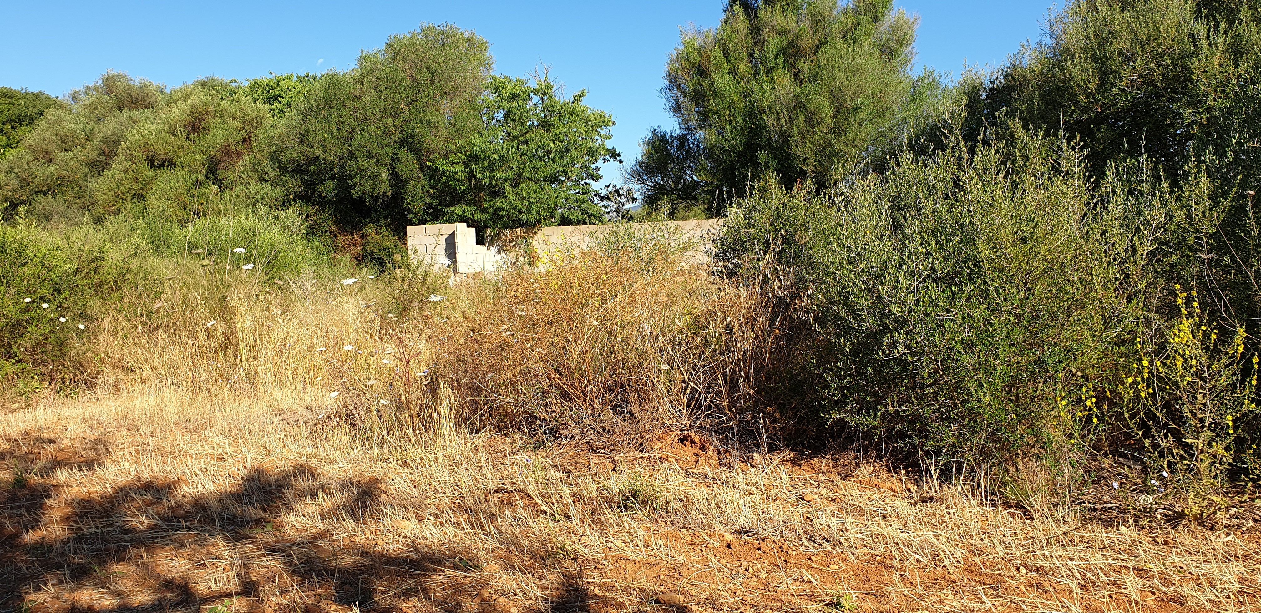 Land for sale in Inca