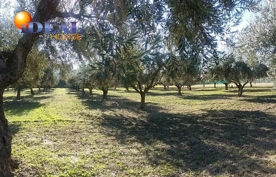 Finca rústica en venta en La Zubia Ciudad