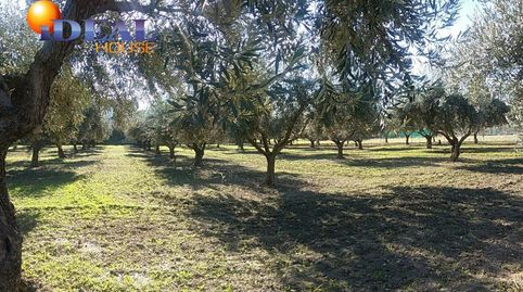 Foto 5 de Finca rústica en venta en La Zubia Ciudad, La Zubia