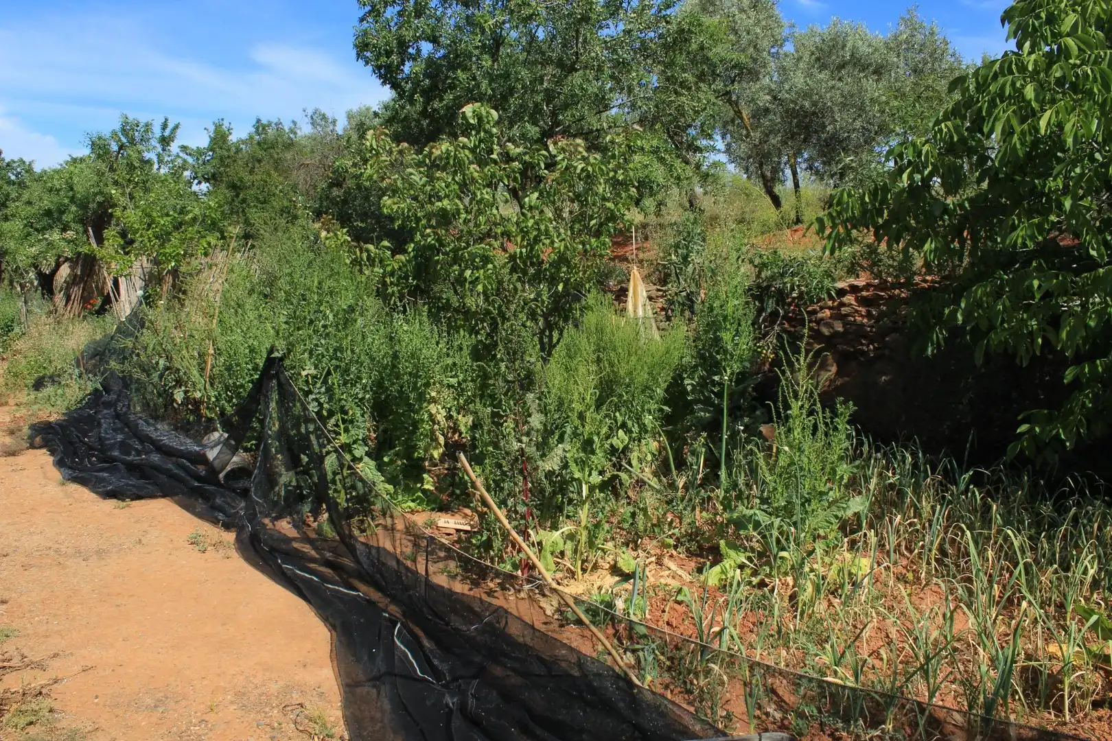 Terreno en venta en Nigüelas