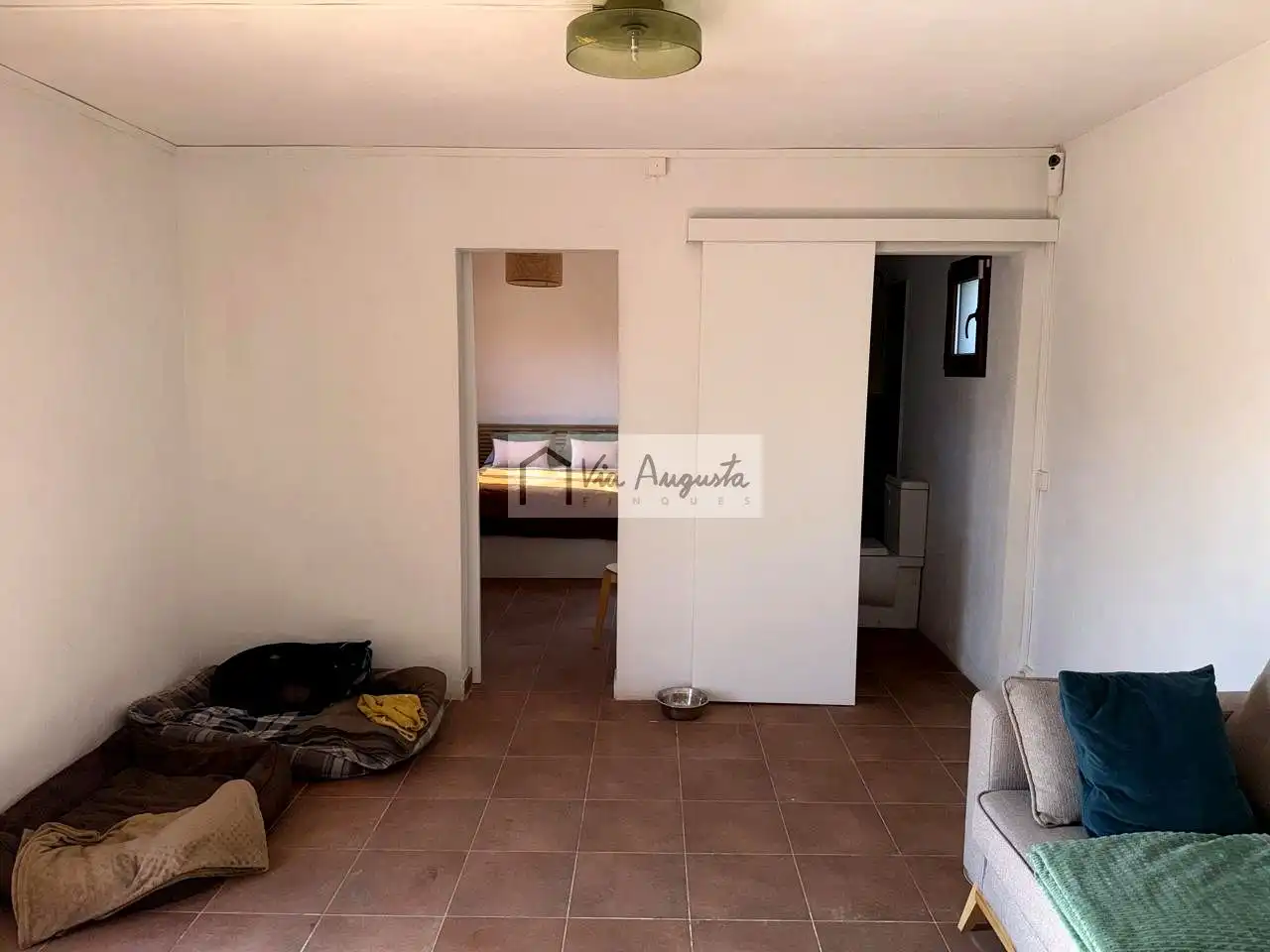 Terreny rústic en venda a Bassa del pi, imagen 9