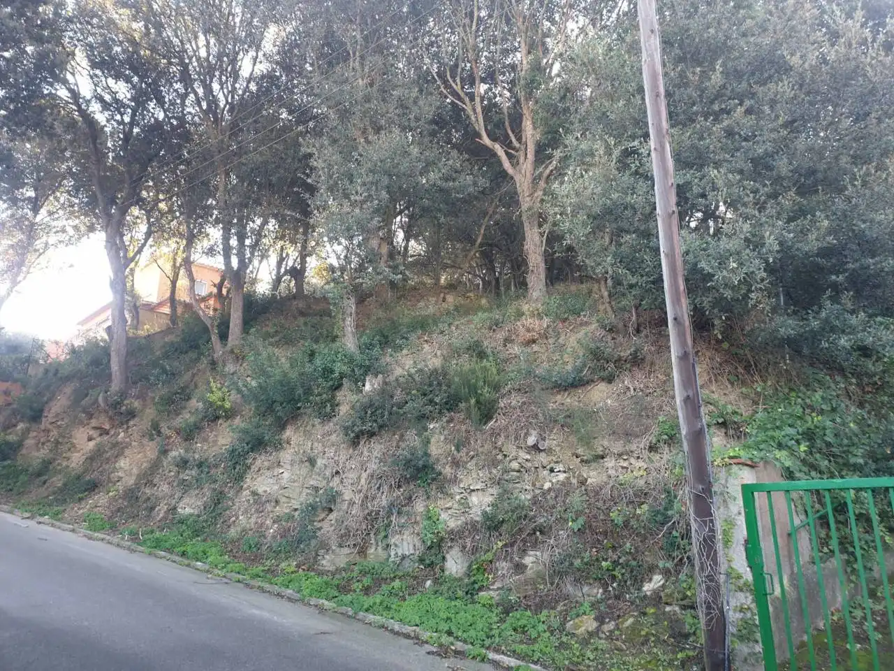 Rural land for sale in Mercuri 5, imagen 3