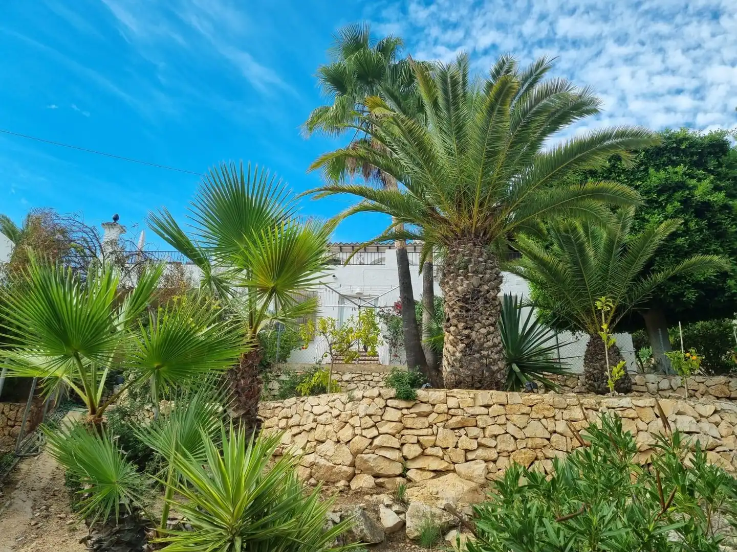 Jardín de Casa o chalet en venta en La Nucia con Aire acondicionado, Calefacción y Jardín privado