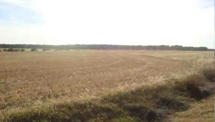 Terreno en venta en La Zarza (Valladolid)