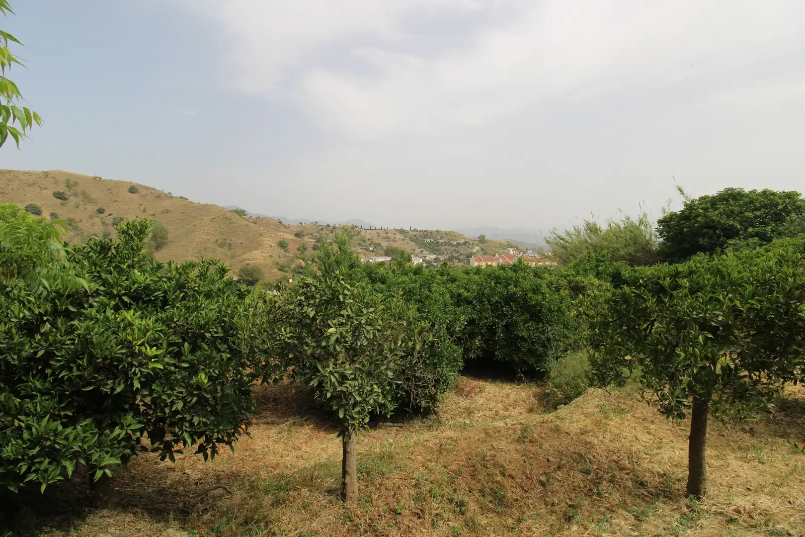 Country homes for sale in Coín  with Terrace and Storage room