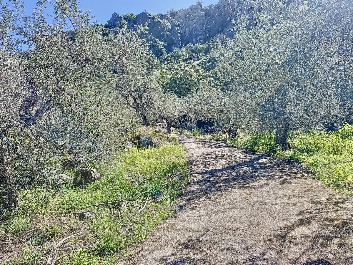 Vista exterior de Finca rústica en venta en Comares con Aire acondicionado, Jardín privado y Terraza