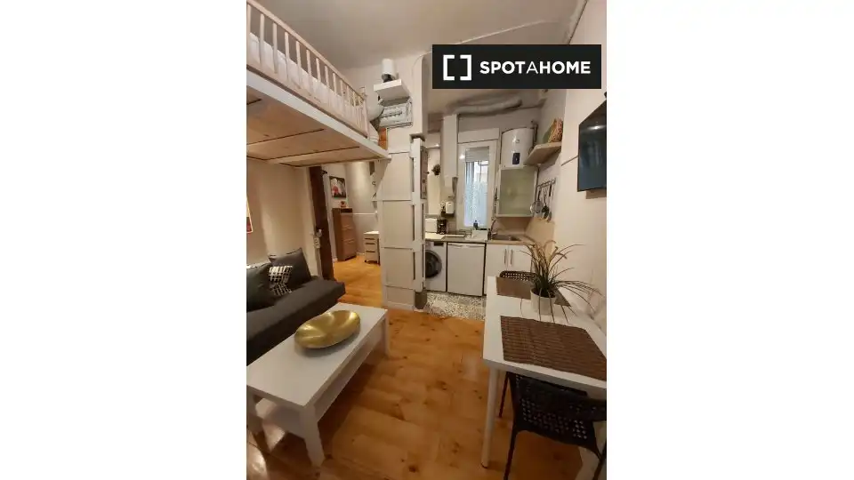 Bedroom of Study for share in Madrid  with Air Conditioner, Heating and Terrace