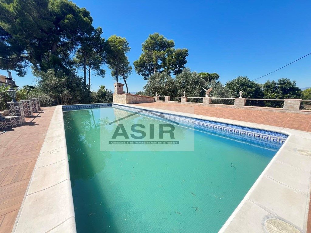 Swimming pool of House or chalet to rent in Alzira