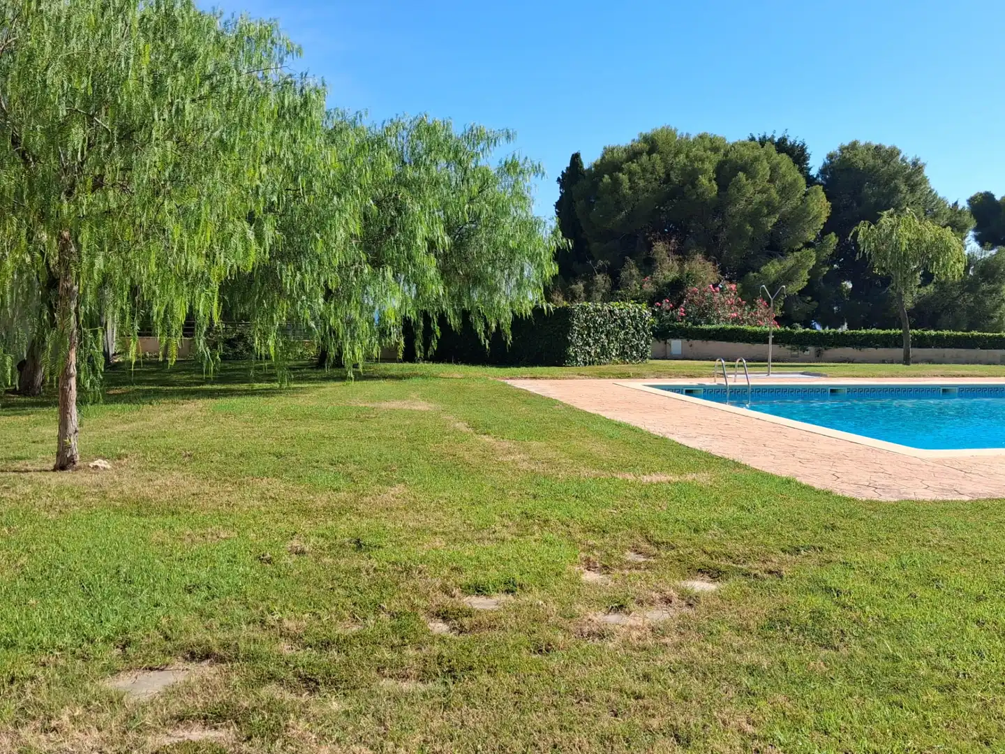 Rez-de-chaussée avec piscine à vendre à Carrer Francesc Mas Ros-Masos 10, imagen 10