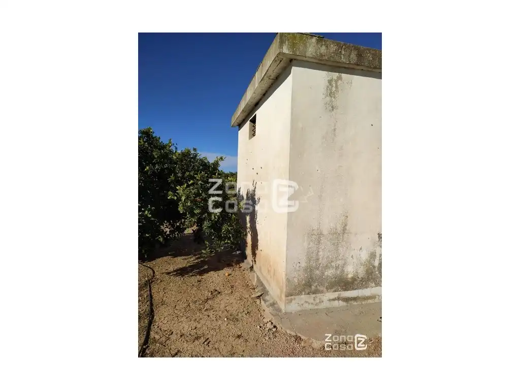 Maison rustique à vendre à Algemesí, imagen 6