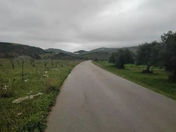 Rustikales Grundstück zum Verkauf in Puerto Serrano, imagen 14