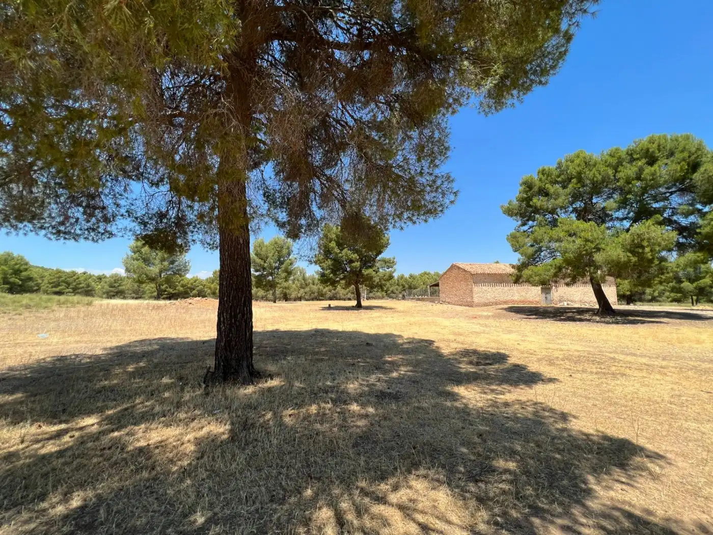 Terreno en venta en Férez