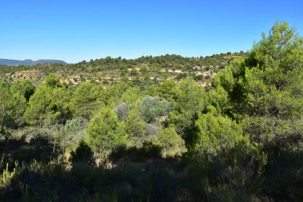 Terreni e lotti in vendita a Valderrobres