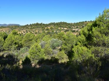 Terreno rustico in vendita a Valderrobres