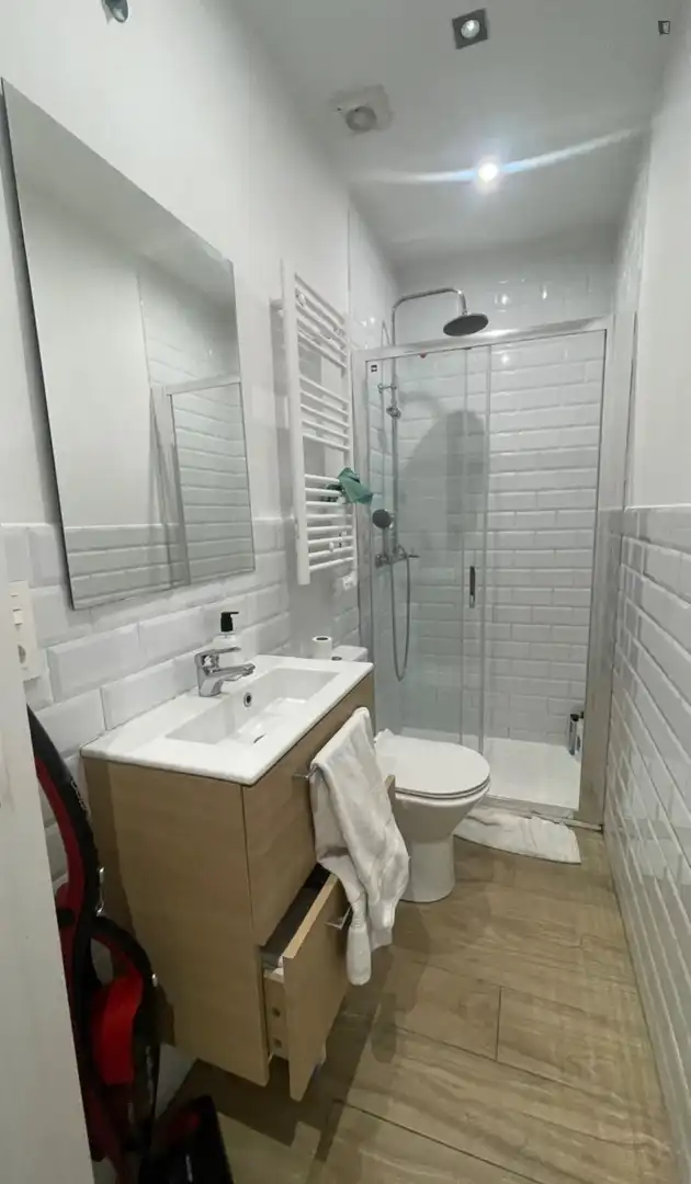 Baño de Apartamento de alquiler en  Madrid Capital con Amueblado, Horno y Lavadora