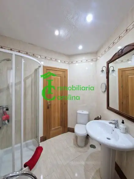 Flat with terrace for sale in La Carolina, imagen 22