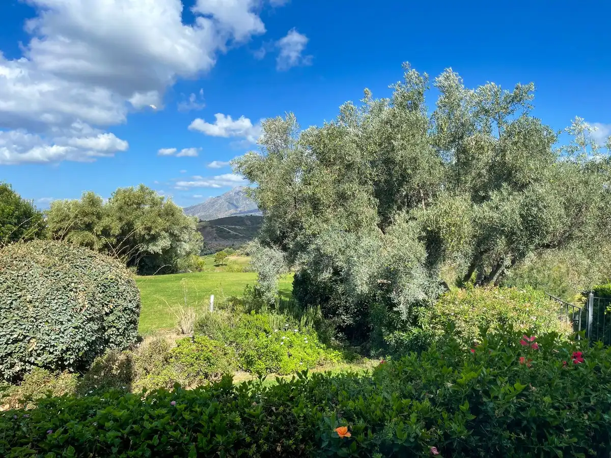 Casa amb piscina en venda a Marbella - Marbella,El Rosario,Avenida del Rosario, imagen 8
