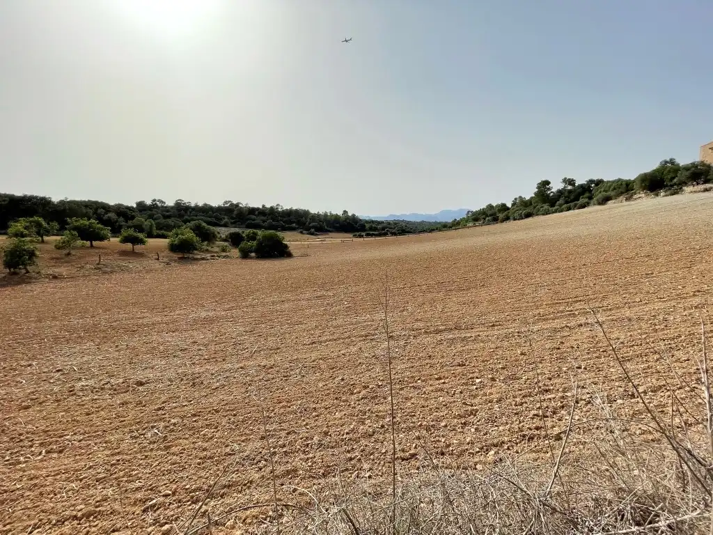 Rural land for sale in Sineu, imagen 4