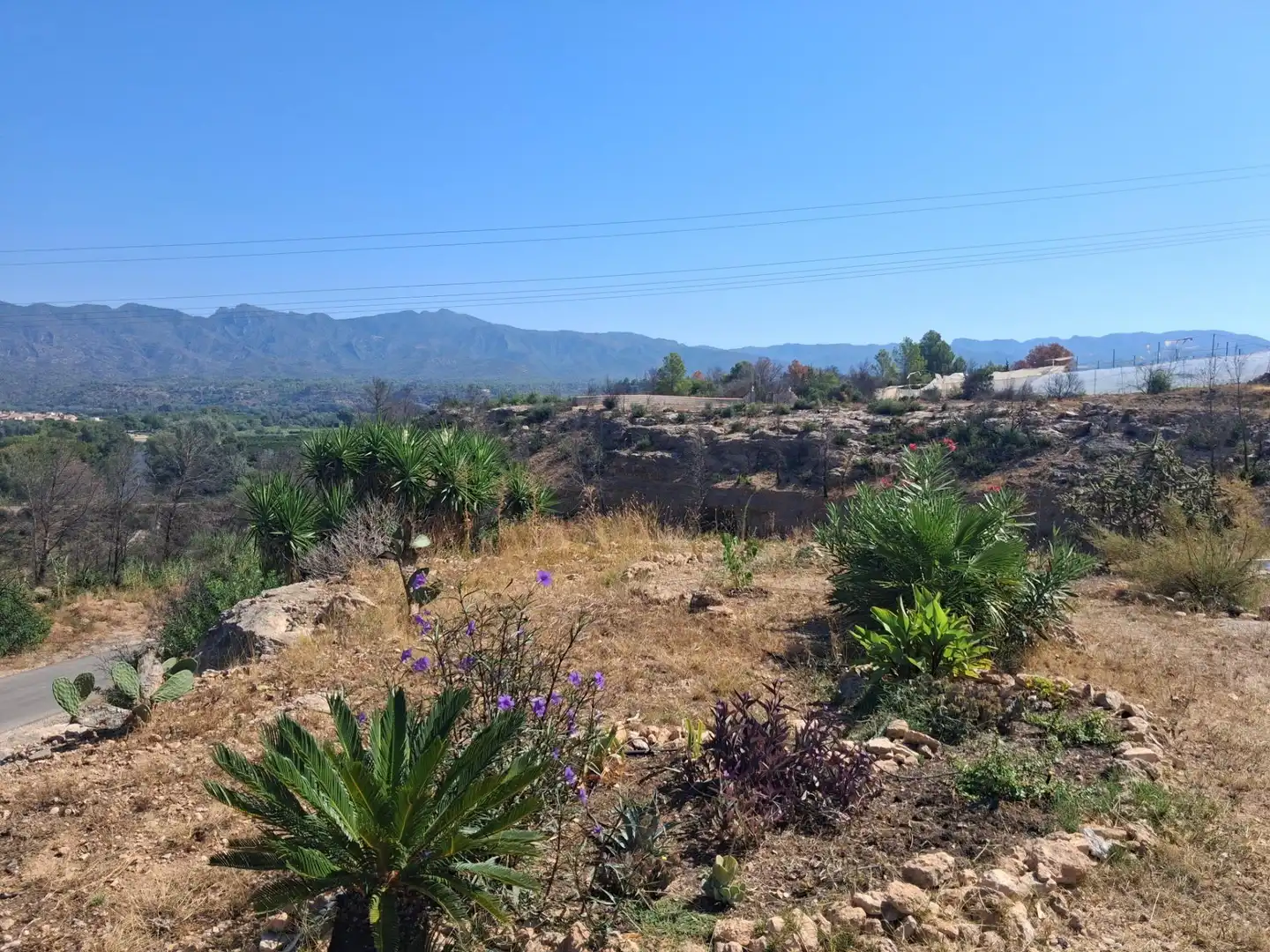 Houses for sale in Xerta