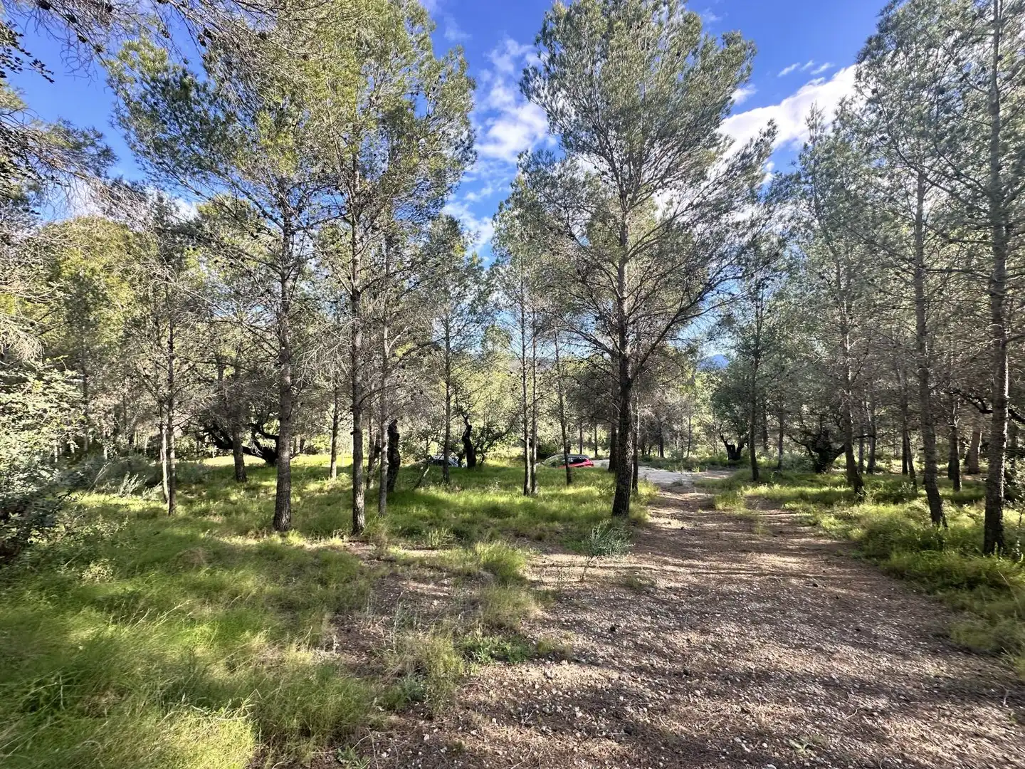 Terreny residencial en venda a Estivella, imagen 14