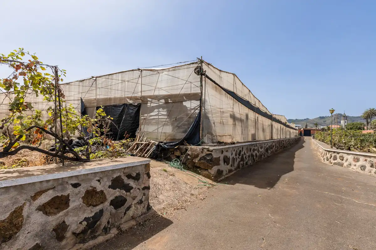 Exterior view of Country homes for sale in San Cristóbal de la Laguna  with Private garden, Terrace and Balcony