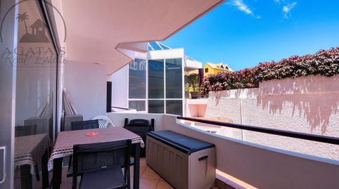 Foto 4 de Estudio en venta en Zona Botánico, Puerto de la Cruz