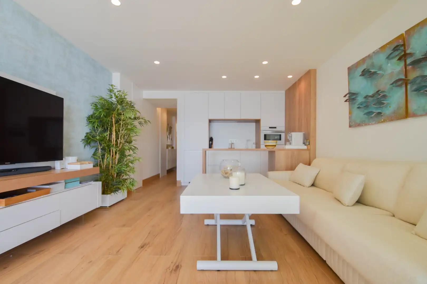 Living room of Flat for sale in Almuñécar  with Parquet flooring, Terrace and Furnished