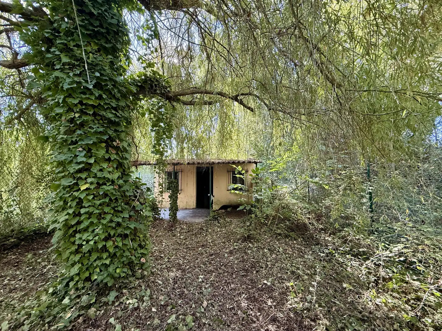 Terrain rustique à vendre à Carretera A Santovenia De La Valdoncina POLÓGONO 1