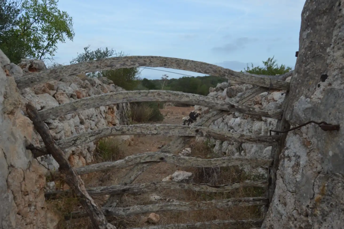 Country homes for sale in Ferreries poble