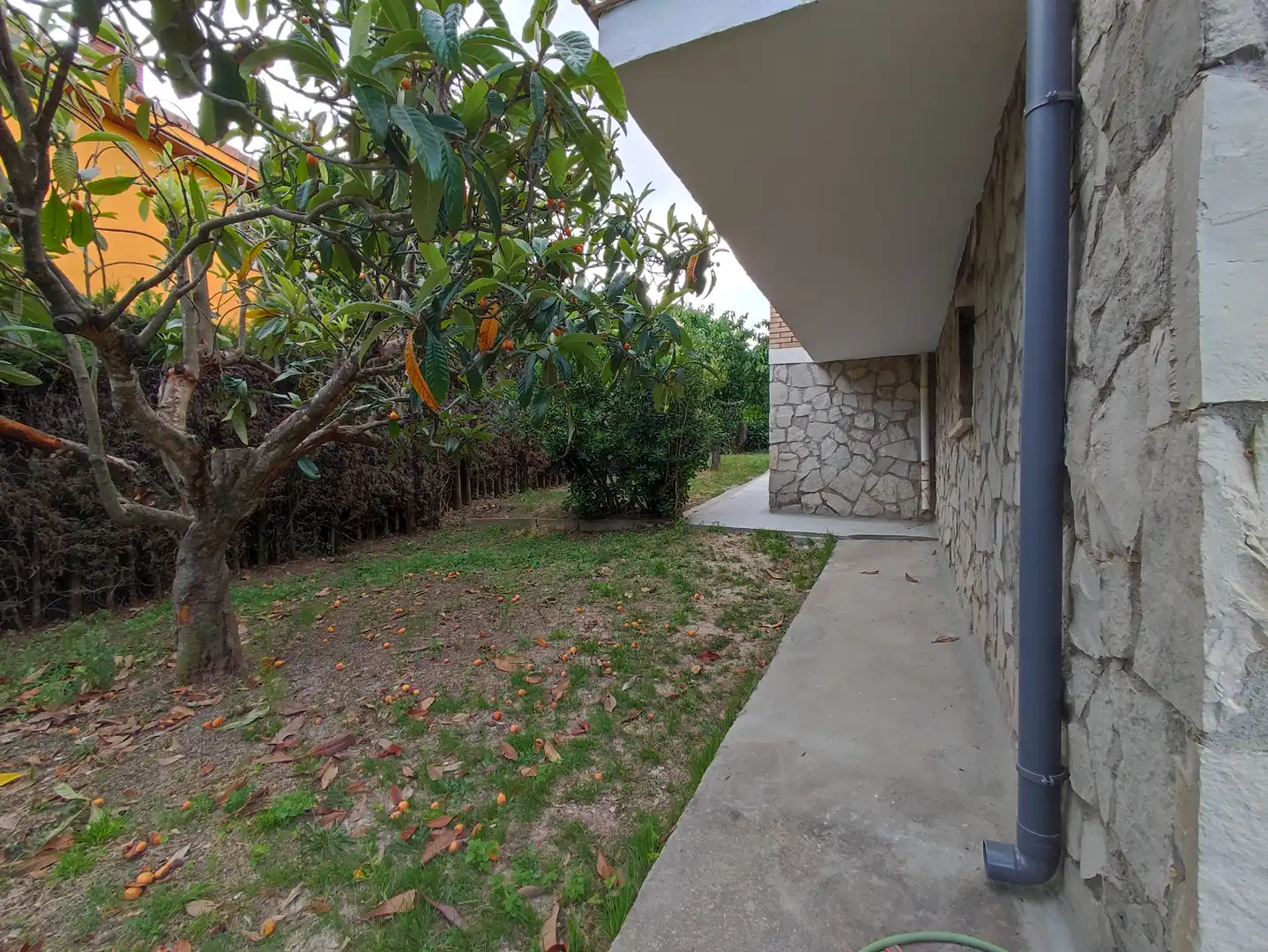 Vista exterior de Casa o xalet en venda en Sant Llorenç d'Hortons amb Jardí privat, Terrassa i Traster