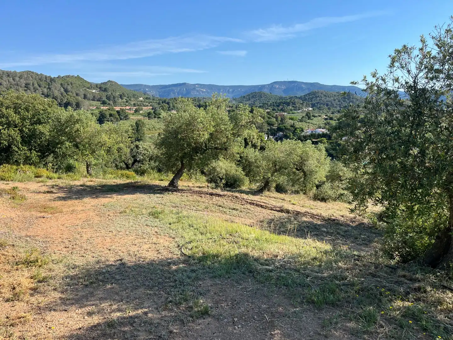 Rural land for sale in Carrer dels Jocs Olímpics 1, imagen 15