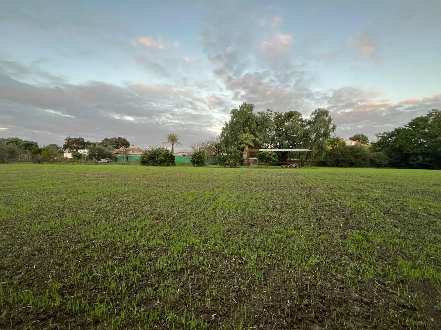 Terreno en venta en Jerez de la Frontera
