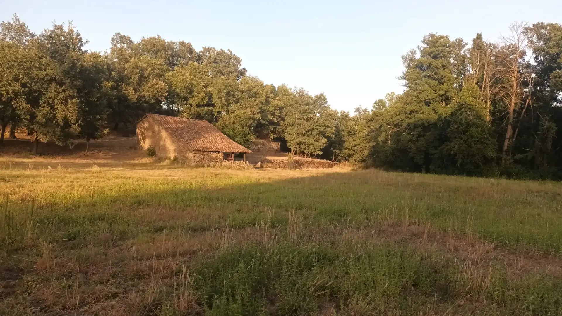 Terreni e lotti in vendita a Villanueva de la Vera