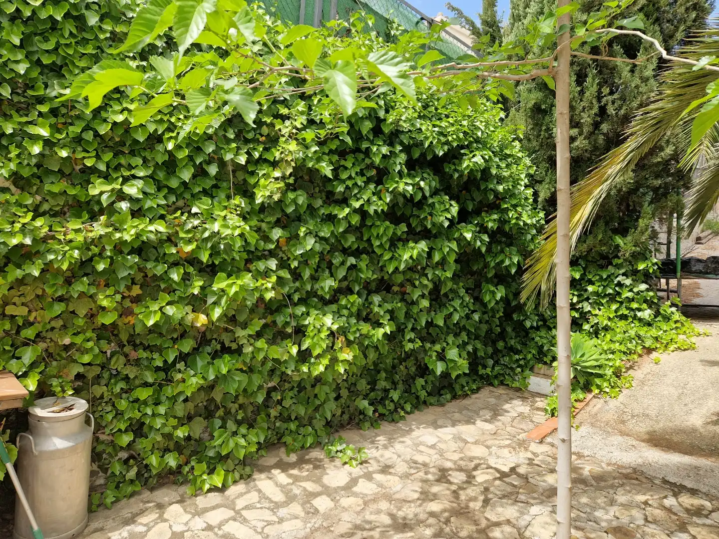 Jardí de Casa o xalet en venda en Loja, Granada