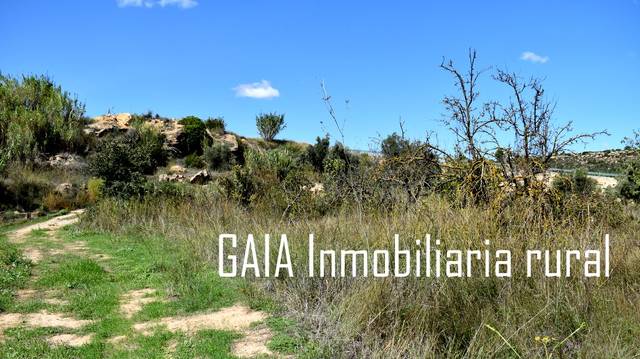 Terreno en Venta en Maella