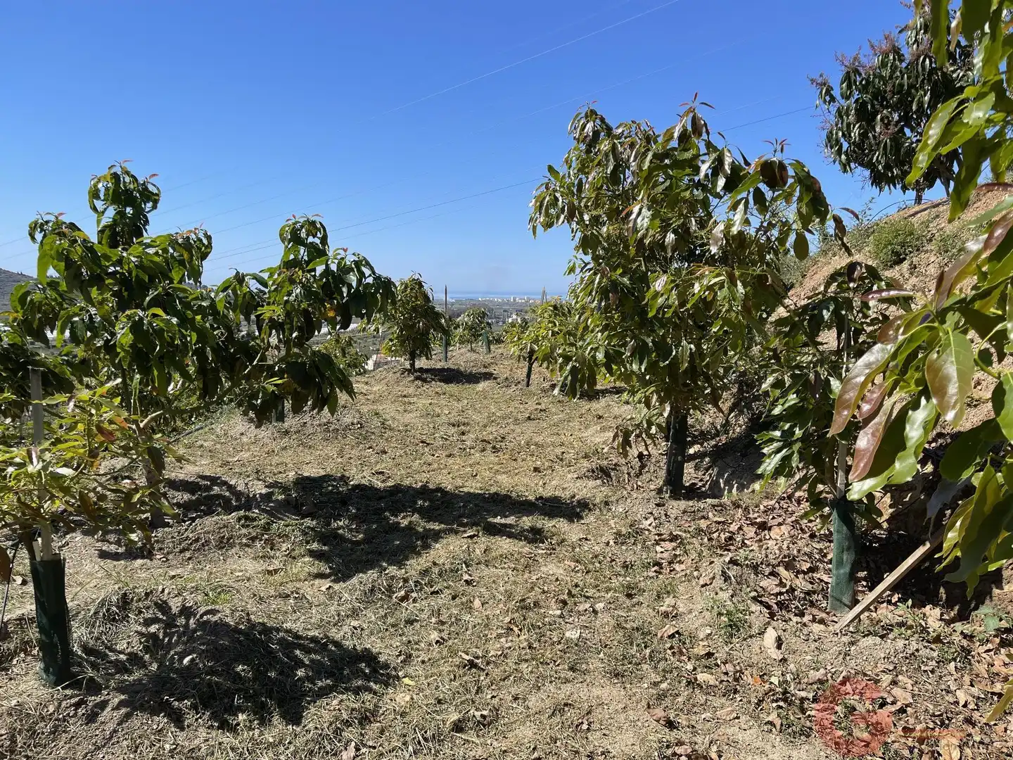 Finca rústica en venta en Salobreña con Terraza y Piscina