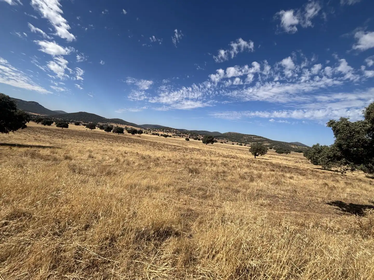Country homes for sale in Orgaz