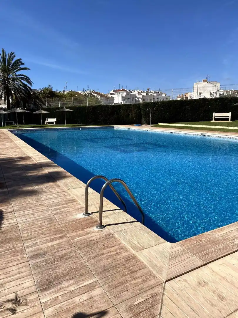Swimming pool of Apartments for rent in Torrevieja  with Air Conditioner, Terrace and Furnished