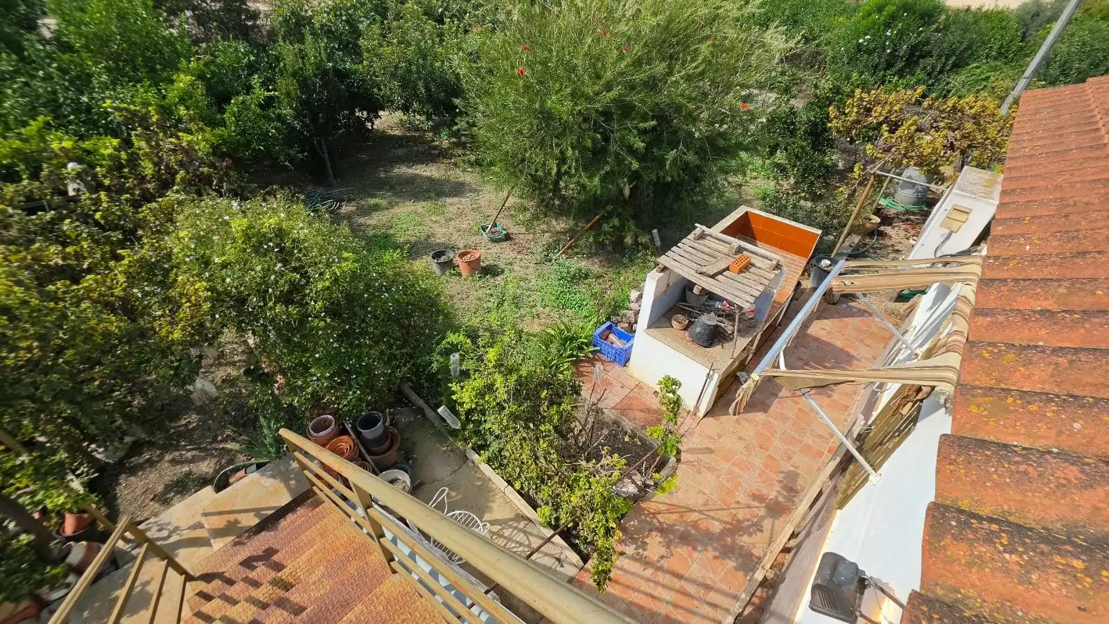 Jardín de Finca rústica en venta en Ceutí