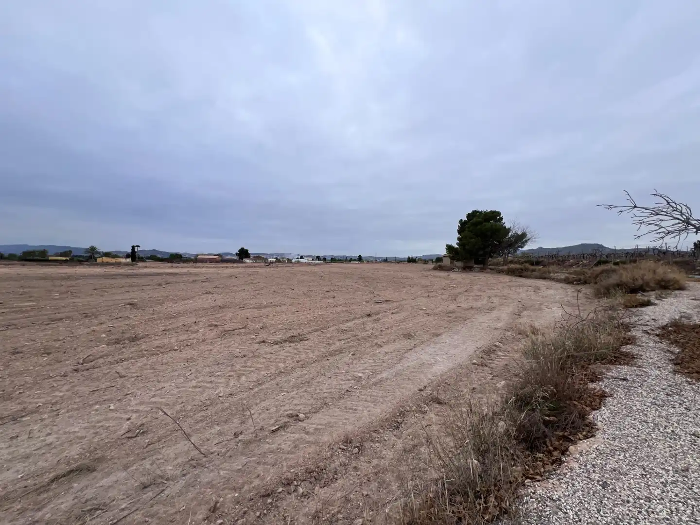 Xalet amb jardí en venda a Partida Polígono 26 Parcela 139 CASA SALA. NOVELDA (ALICA, imagen 6