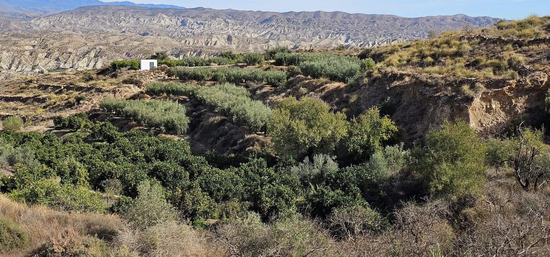 Terreno en venta en Bentarique
