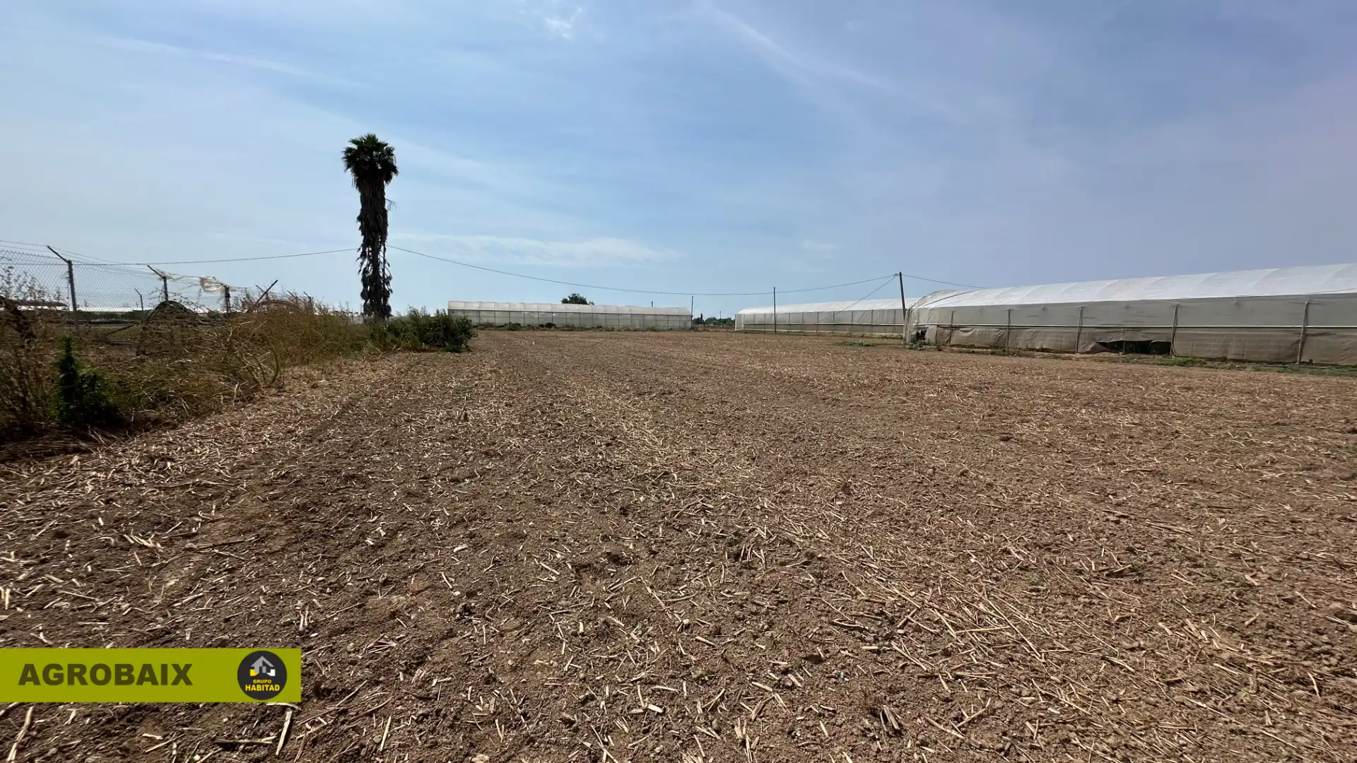 Terreno rustico in vendita a Carretera Variant 245 37, imagen 3
