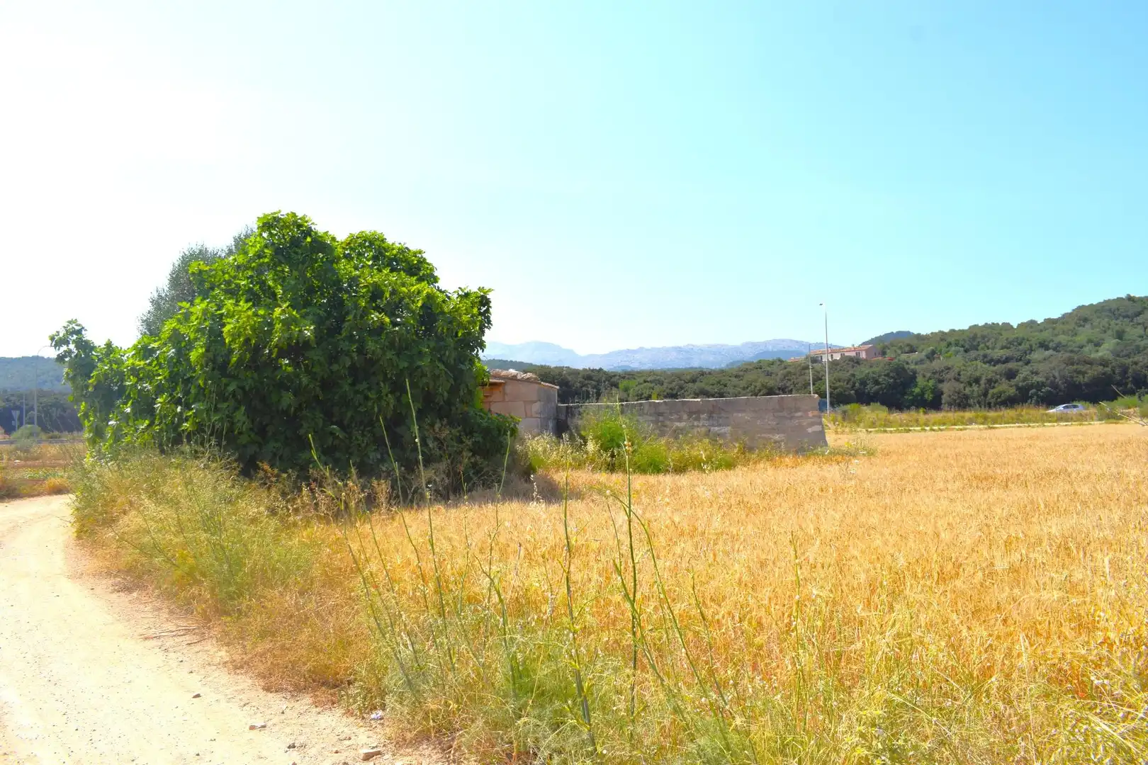 Rural land for sale in Sa Pobla, imagen 6