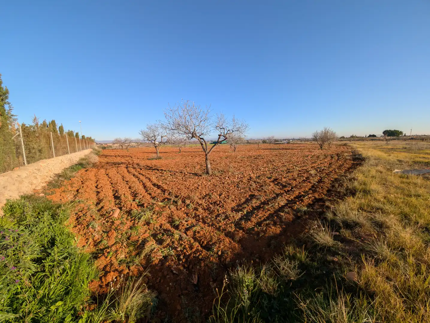 Terreno rustico in vendita a Pasaje Los Segados 152, imagen 5