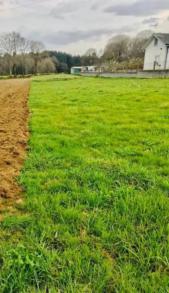Terreni e lotti in vendita a Parroquias del Oeste, imagen 3