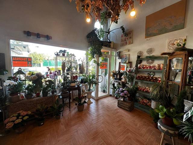 Local comercial en Alquiler en Centro