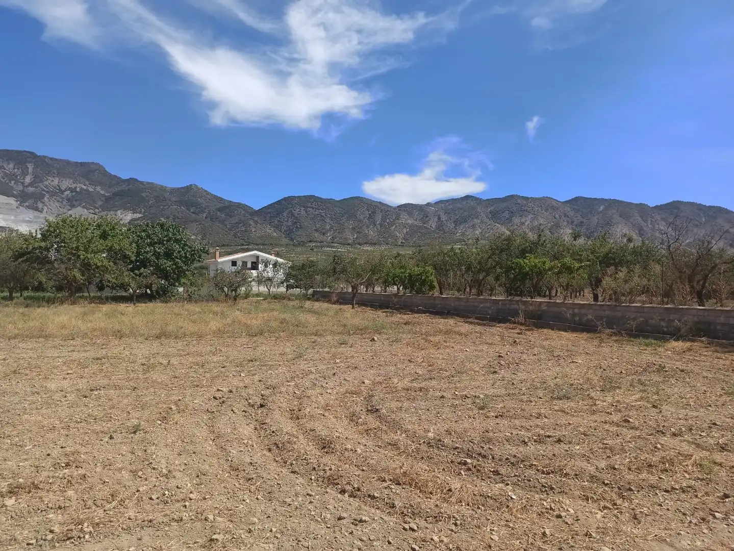 Rural land for sale in Dúrcal, imagen 8