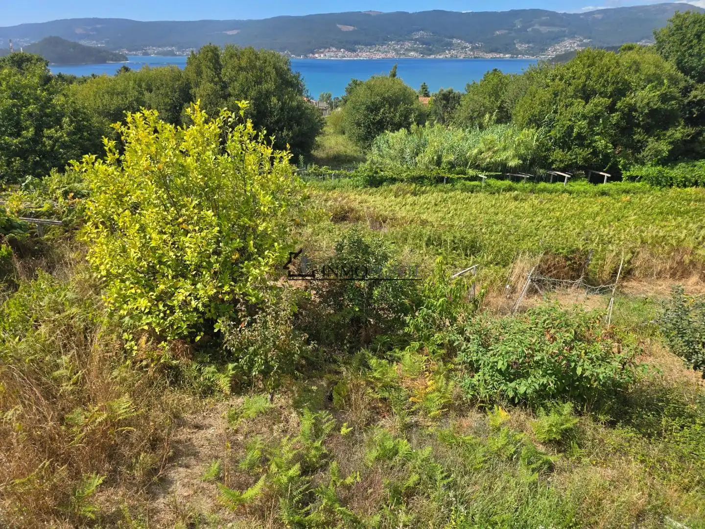 Casa o xalet en venda en Pontevedra Capital  amb Jardí privat