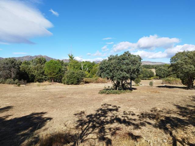 Terreno en Venta en Colmenar del Arroyo