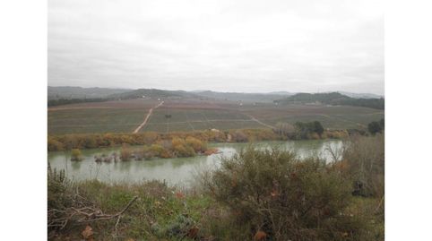 Finca rústica en venta en Flix Asco